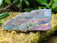 Polished On One Side Purple Flash Labradorite Slices x 12 From Tulear, Madagascar