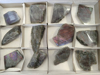 Polished On One Side Purple Flash Labradorite Slices x 12 From Tulear, Madagascar