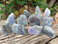 Polished On One Side Purple Flash Labradorite Slices x 12 From Tulear, Madagascar