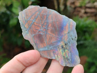 Polished On One Side Purple Flash Labradorite Slices x 12 From Tulear, Madagascar