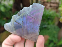 Polished On One Side Purple Flash Labradorite Slices x 12 From Tulear, Madagascar