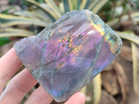 Polished On One Side Purple Flash Labradorite Slices x 12 From Tulear, Madagascar