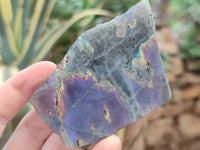 Polished On One Side Purple Flash Labradorite Slices x 12 From Tulear, Madagascar