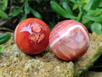 Polished Carnelian Agate Spheres x 4 From Madagascar
