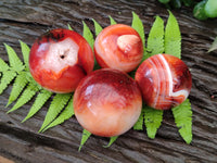 Polished Carnelian Agate Spheres x 4 From Madagascar