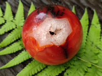 Polished Carnelian Agate Spheres x 4 From Madagascar