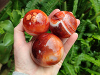 Polished Carnelian Agate Spheres x 4 From Madagascar