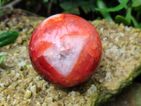 Polished Carnelian Agate Spheres x 4 From Madagascar