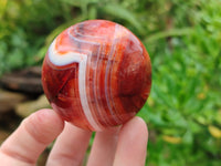 Polished Carnelian Agate Spheres x 4 From Madagascar