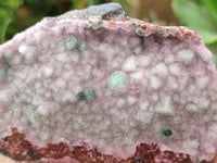Natural Drusy Salrose Cobaltion Dolomite with Malachite and Chrysocolla specimens x 5 From Congo