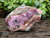Natural Drusy Salrose Cobaltion Dolomite with Malachite and Chrysocolla specimens x 5 From Congo