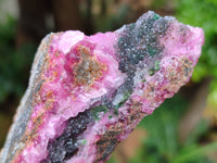 Natural Drusy Salrose Cobaltion Dolomite with Malachite and Chrysocolla specimens x 5 From Congo