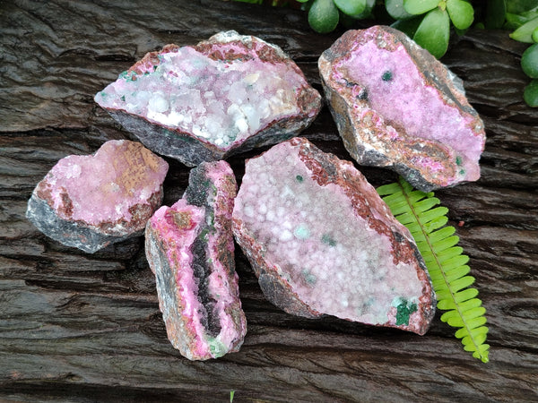 Natural Drusy Salrose Cobaltion Dolomite with Malachite and Chrysocolla specimens x 5 From Congo