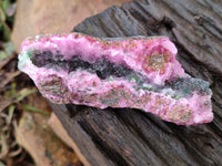 Natural Drusy Salrose Cobaltion Dolomite with Malachite and Chrysocolla specimens x 5 From Congo