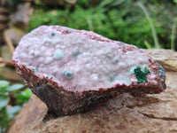 Natural Drusy Salrose Cobaltion Dolomite with Malachite and Chrysocolla specimens x 5 From Congo