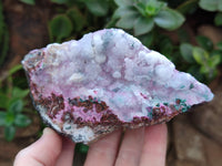Natural Drusy Salrose Cobaltion Dolomite with Malachite and Chrysocolla specimens x 5 From Congo