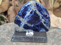 Polished Sodalite Standing Free Forms x 3 From Kunene River, Namibia