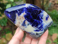 Polished Sodalite Standing Free Forms x 3 From Kunene River, Namibia