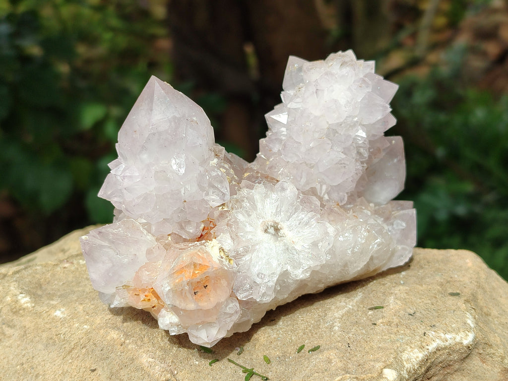 Natural Amethyst Spirit Quartz Clusters x 2 From Boekenhouthoek, South Africa - Toprock Gemstones and Minerals 