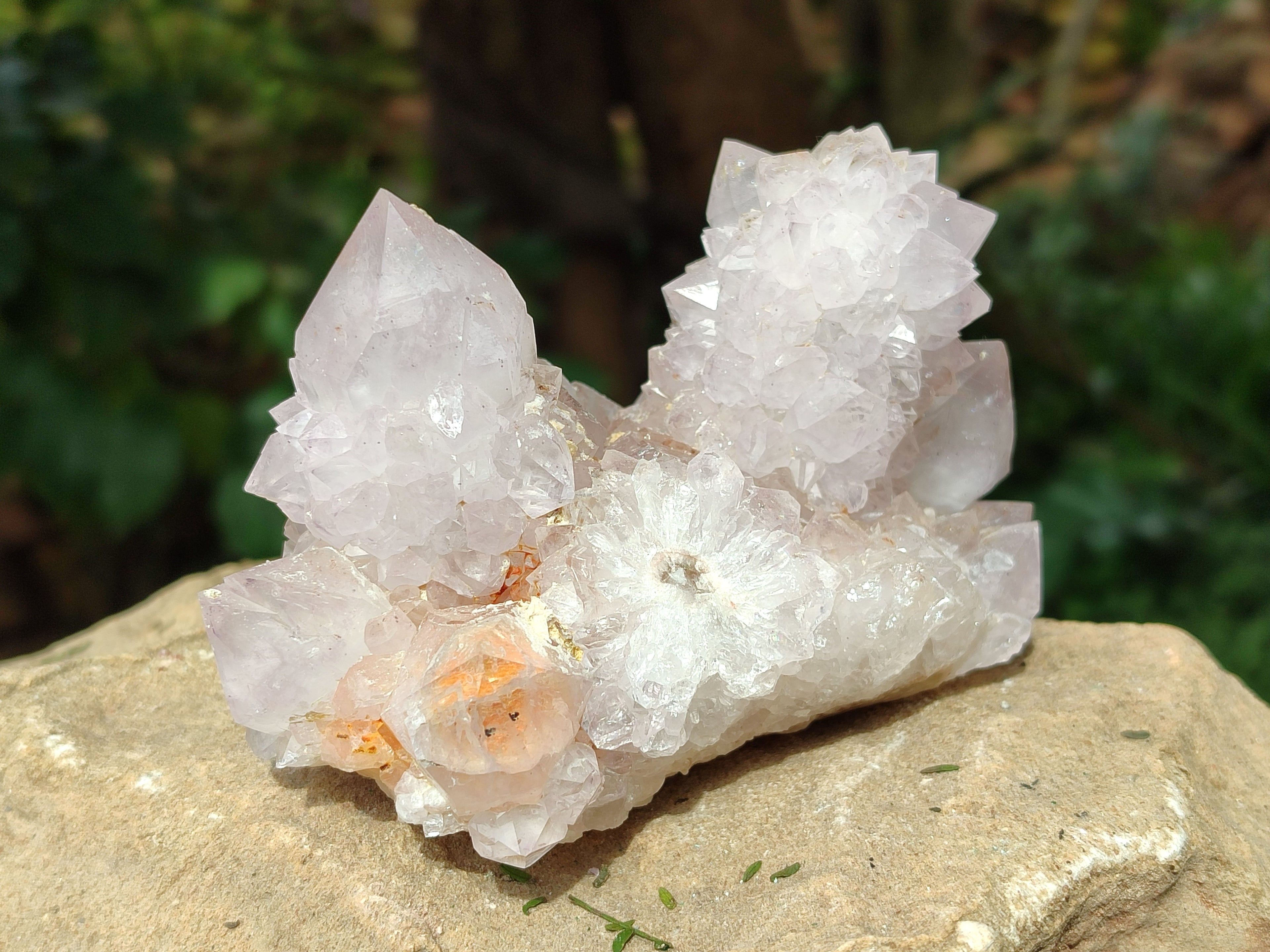 Natural Amethyst Spirit Quartz Clusters x 2 From Boekenhouthoek, South Africa - Toprock Gemstones and Minerals 
