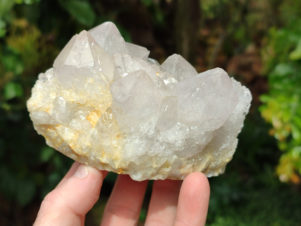 Natural Amethyst Spirit Quartz Clusters x 2 From Boekenhouthoek, South Africa - Toprock Gemstones and Minerals 