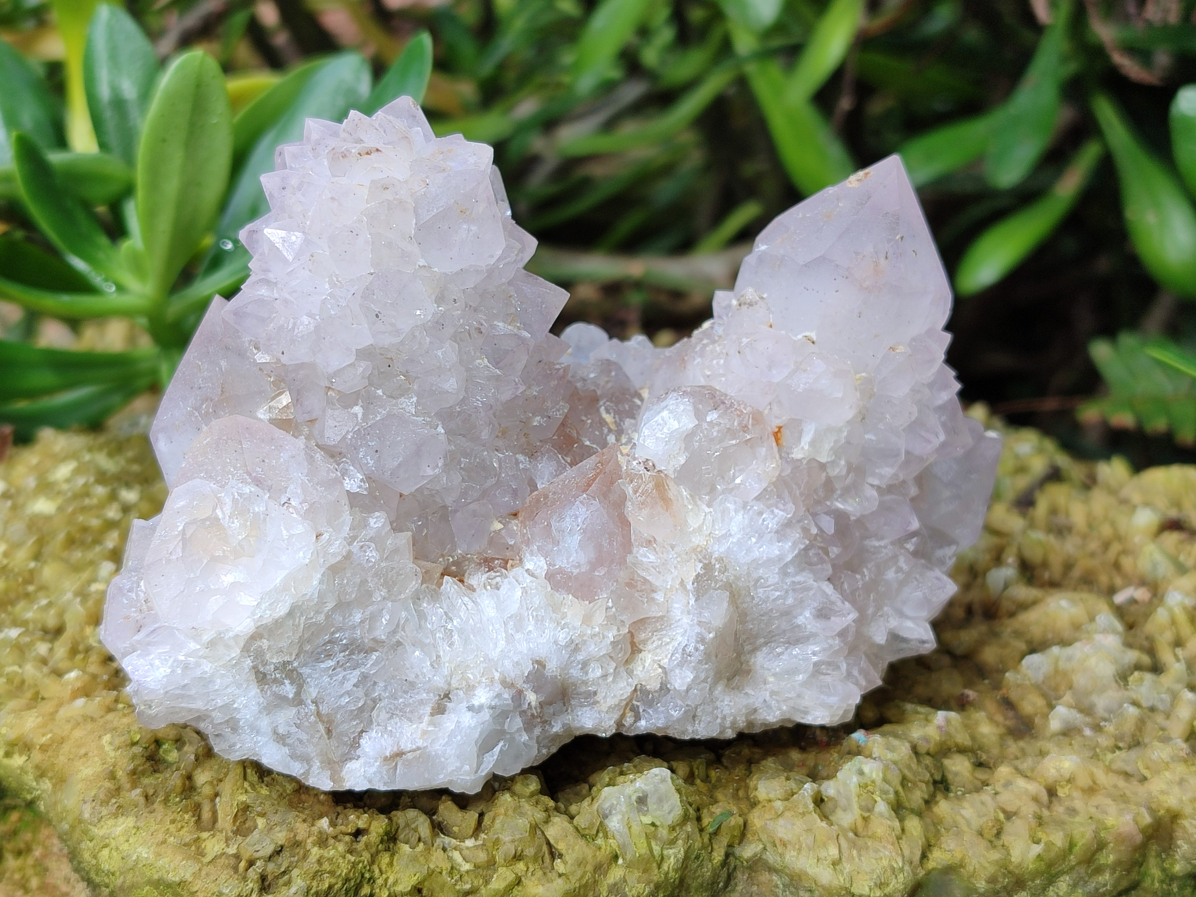 Natural Amethyst Spirit Quartz Clusters x 2 From Boekenhouthoek, South Africa - Toprock Gemstones and Minerals 