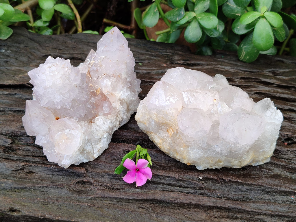 Natural Amethyst Spirit Quartz Clusters x 2 From Boekenhouthoek, South Africa - Toprock Gemstones and Minerals 