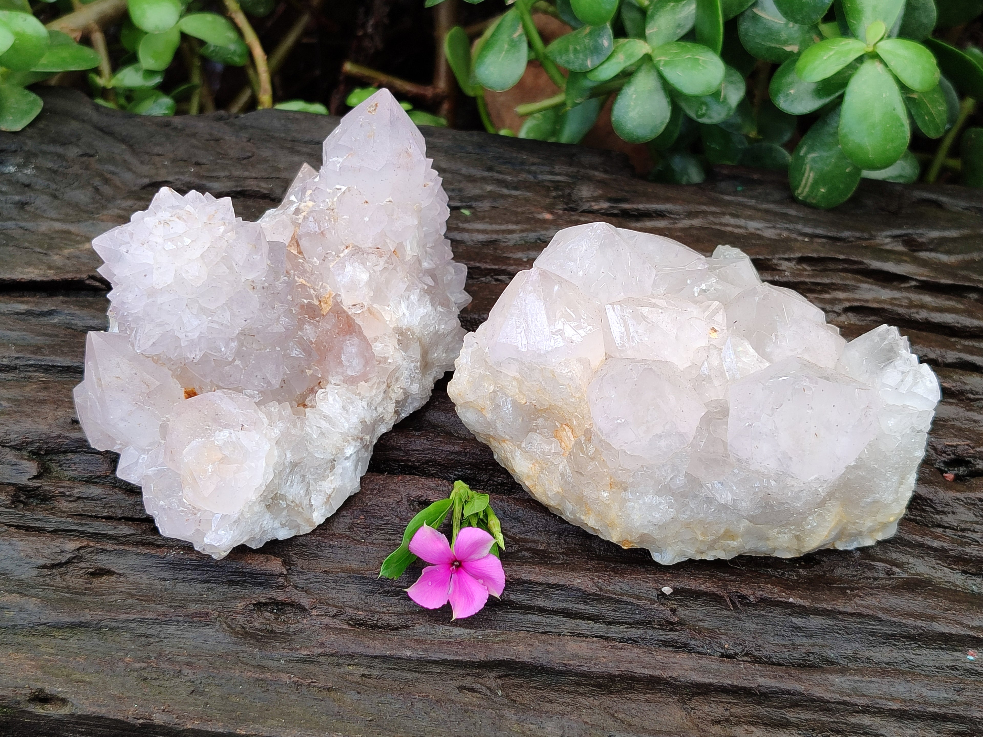 Natural Amethyst Spirit Quartz Clusters x 2 From Boekenhouthoek, South Africa - Toprock Gemstones and Minerals 