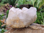 Natural Amethyst Spirit Quartz Clusters x 2 From Boekenhouthoek, South Africa - Toprock Gemstones and Minerals 