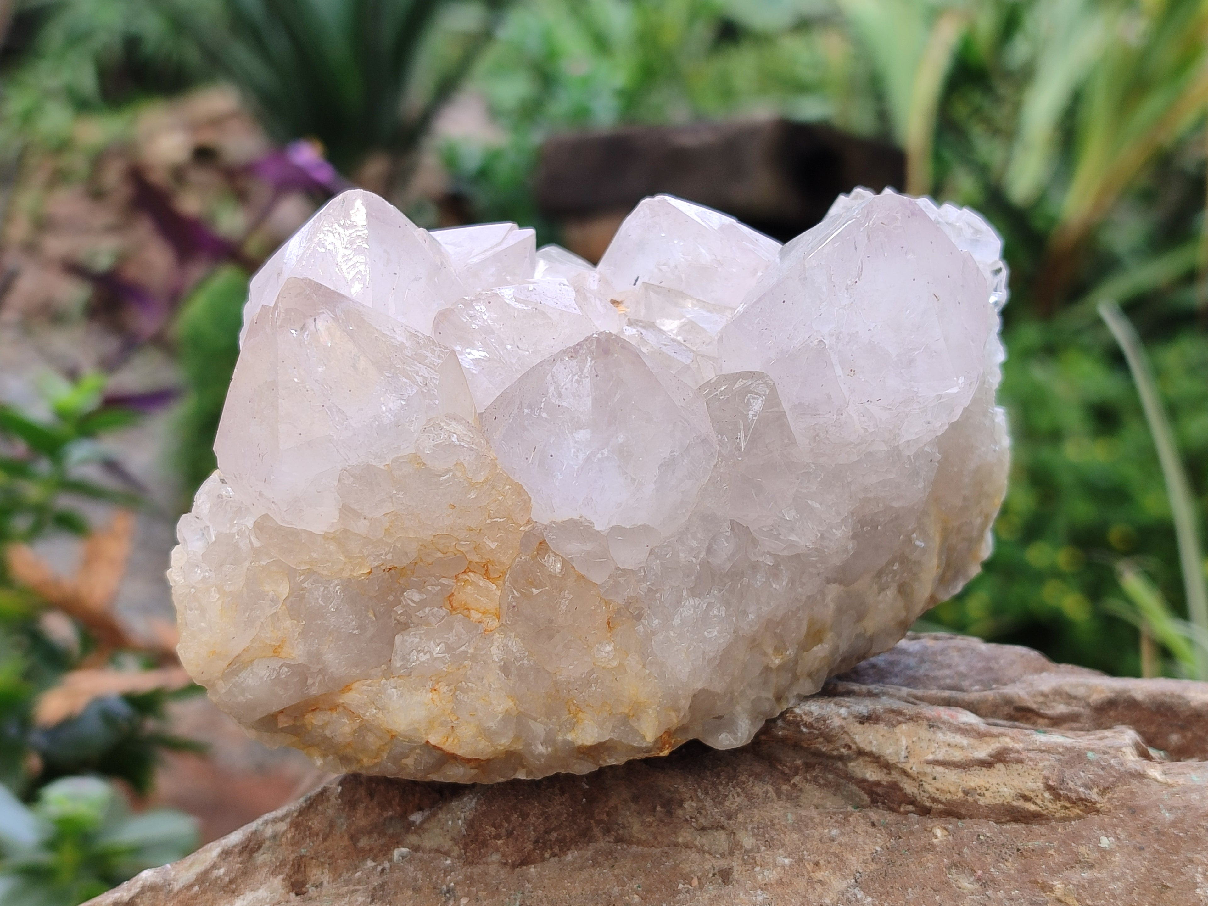 Natural Amethyst Spirit Quartz Clusters x 2 From Boekenhouthoek, South Africa - Toprock Gemstones and Minerals 
