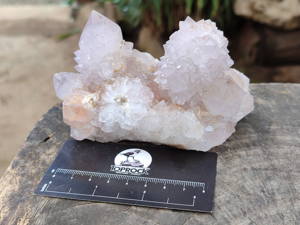 Natural Amethyst Spirit Quartz Clusters x 2 From Boekenhouthoek, South Africa - Toprock Gemstones and Minerals 
