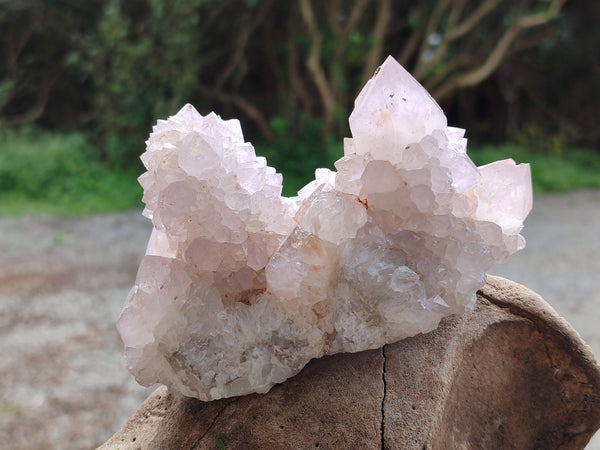 Natural Amethyst Spirit Quartz Clusters x 2 From Boekenhouthoek, South Africa