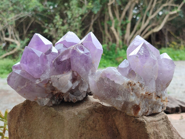 Natural Jacaranda Amethyst Quartz Clusters x 2 From Mumbwa, Zambia