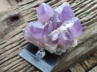 Natural Jacaranda Amethyst Quartz Clusters x 2 From Mumbwa, Zambia