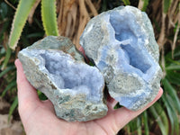 Natural Blue Lace Agate Geode Specimens x 6 From Nsanje, Malawi