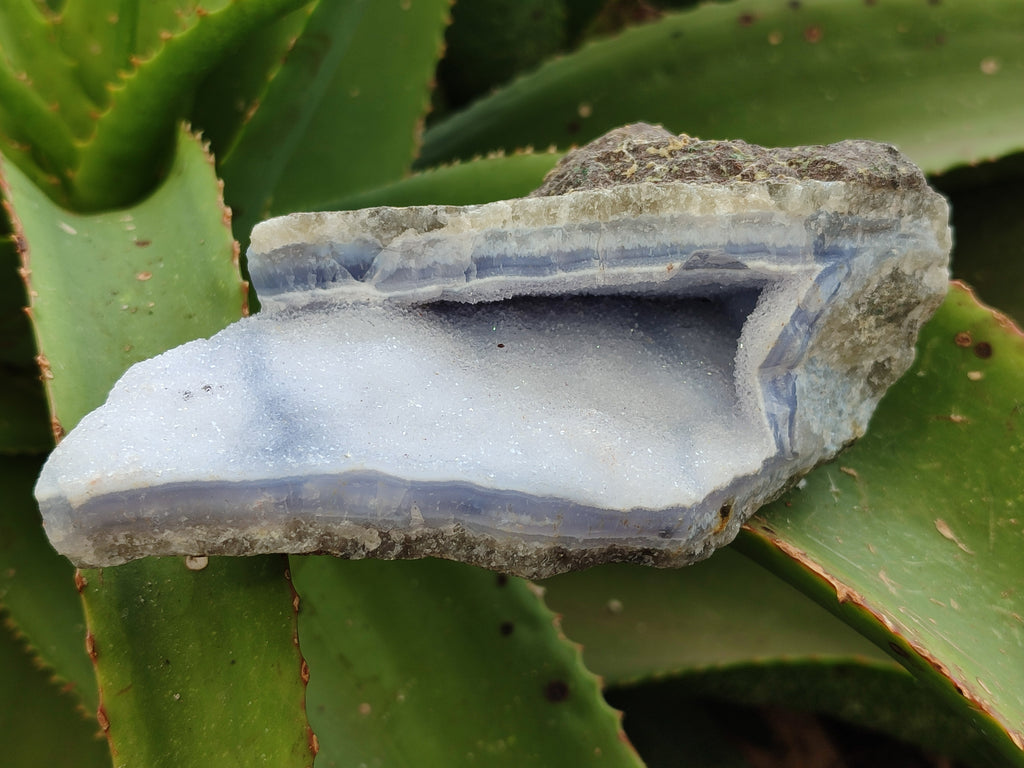 Natural Blue Lace Agate Geode Specimens x 6 From Nsanje, Malawi - Toprock Gemstones and Minerals 