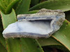 Natural Blue Lace Agate Geode Specimens x 6 From Nsanje, Malawi - Toprock Gemstones and Minerals 