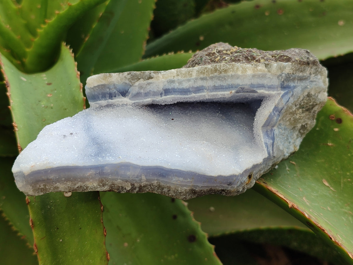 Natural Blue Lace Agate Geode Specimens x 6 From Nsanje, Malawi - Toprock Gemstones and Minerals 