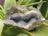 Natural Blue Lace Agate Geode Specimens x 6 From Nsanje, Malawi