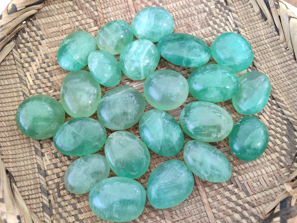 Polished Green Fluorite Palm Stones x 35 From Madagascar