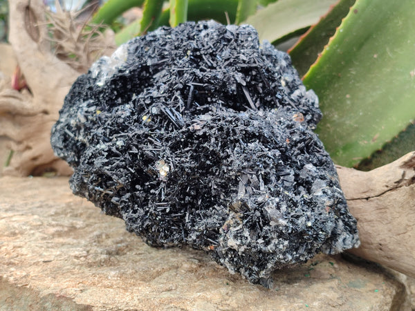 Natural XL Schorl Black Tourmaline Needle Specimen with Quartz and Goshenite x 1 From Erongo, Namibia - Toprock Gemstones and Minerals 