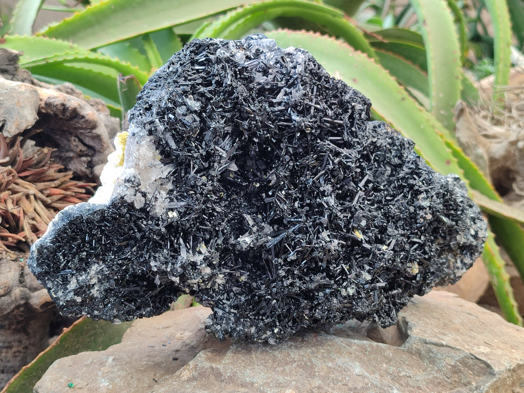 Natural XL Schorl Black Tourmaline Needle Specimen with Quartz and Goshenite x 1 From Erongo, Namibia - Toprock Gemstones and Minerals 