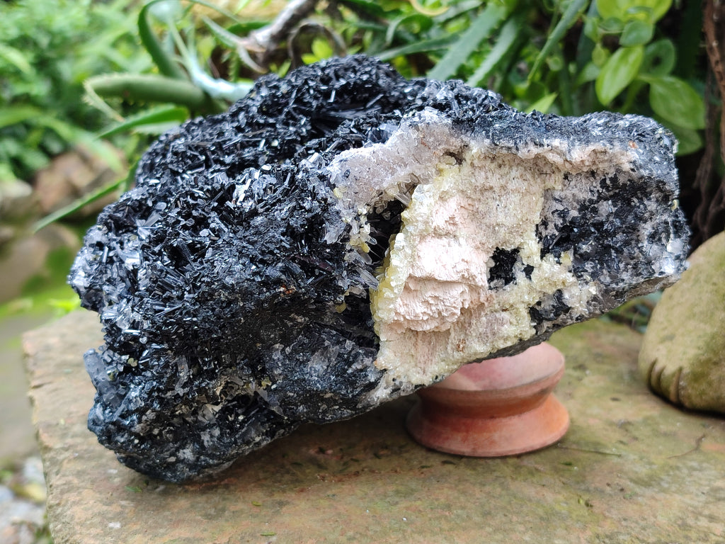 Natural XL Schorl Black Tourmaline Needle Specimen with Quartz and Goshenite x 1 From Erongo, Namibia - Toprock Gemstones and Minerals 