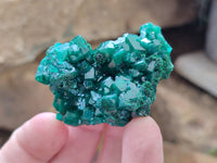 Natural Dioptase Specimens x 6 From Likasi, Congo