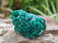 Natural Dioptase Specimens x 6 From Likasi, Congo
