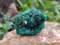 Natural Dioptase Specimens x 6 From Likasi, Congo