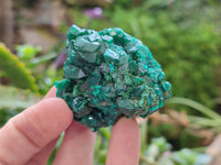Natural Dioptase Specimens x 6 From Likasi, Congo
