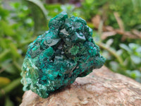 Natural Dioptase Specimens x 6 From Likasi, Congo