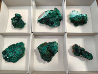 Natural Dioptase Specimens x 6 From Likasi, Congo