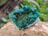 Natural Dioptase Specimens x 6 From Likasi, Congo